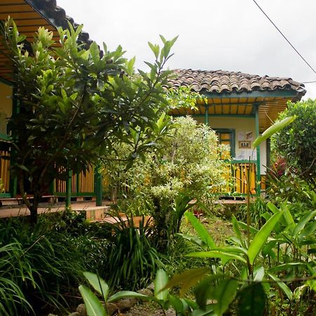 The Plantation House Travellers Hostel Σαλέντο Εξωτερικό φωτογραφία