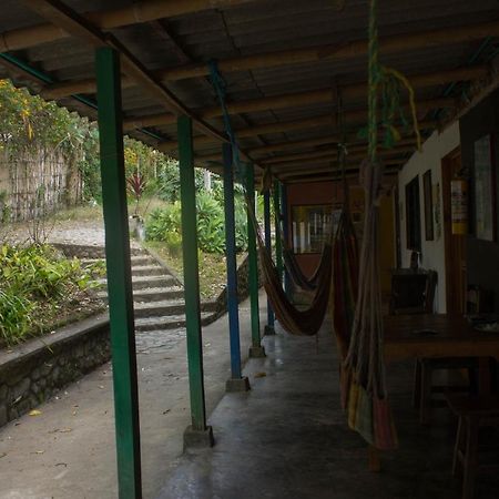 The Plantation House Travellers Hostel Σαλέντο Εξωτερικό φωτογραφία