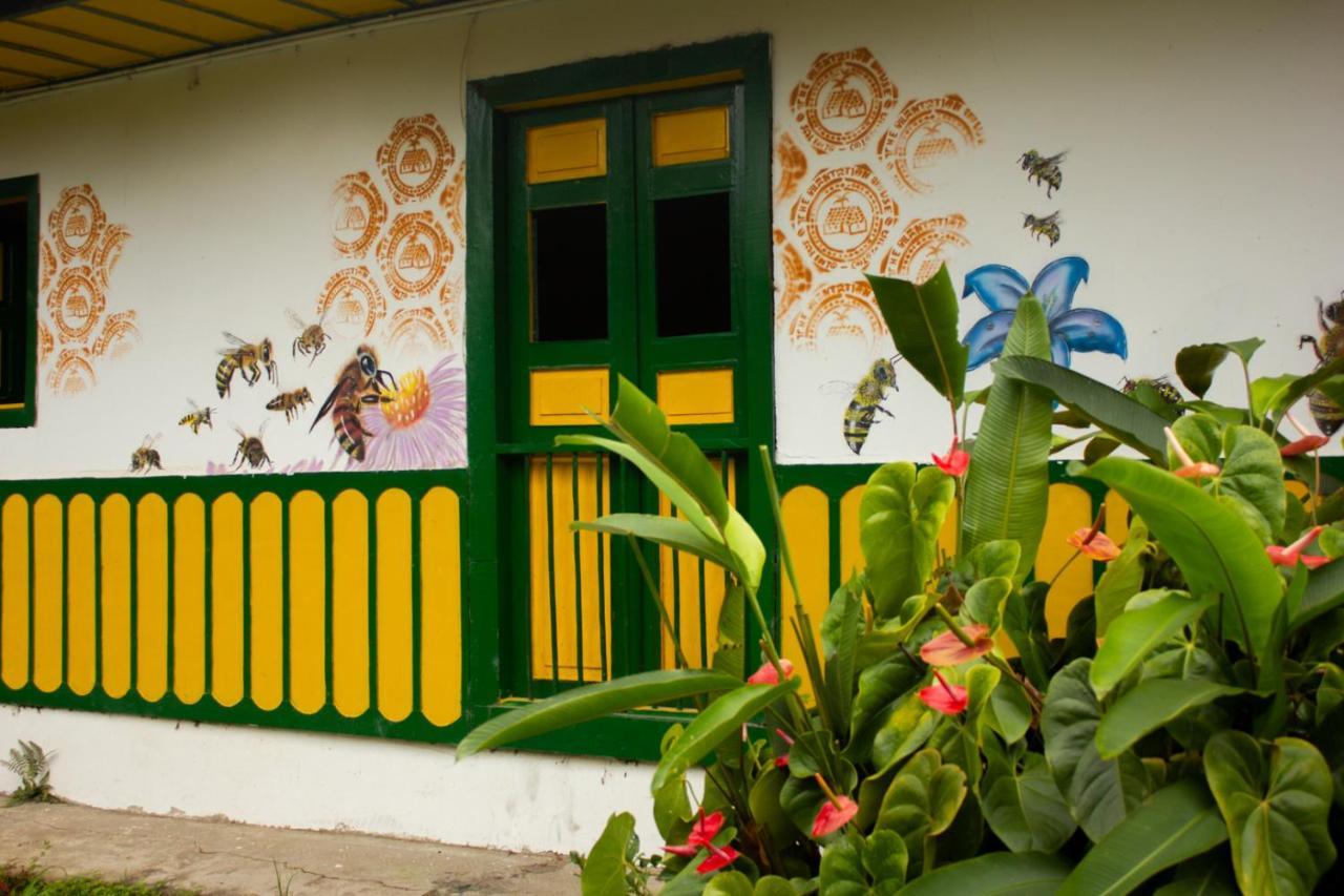 The Plantation House Travellers Hostel Σαλέντο Εξωτερικό φωτογραφία