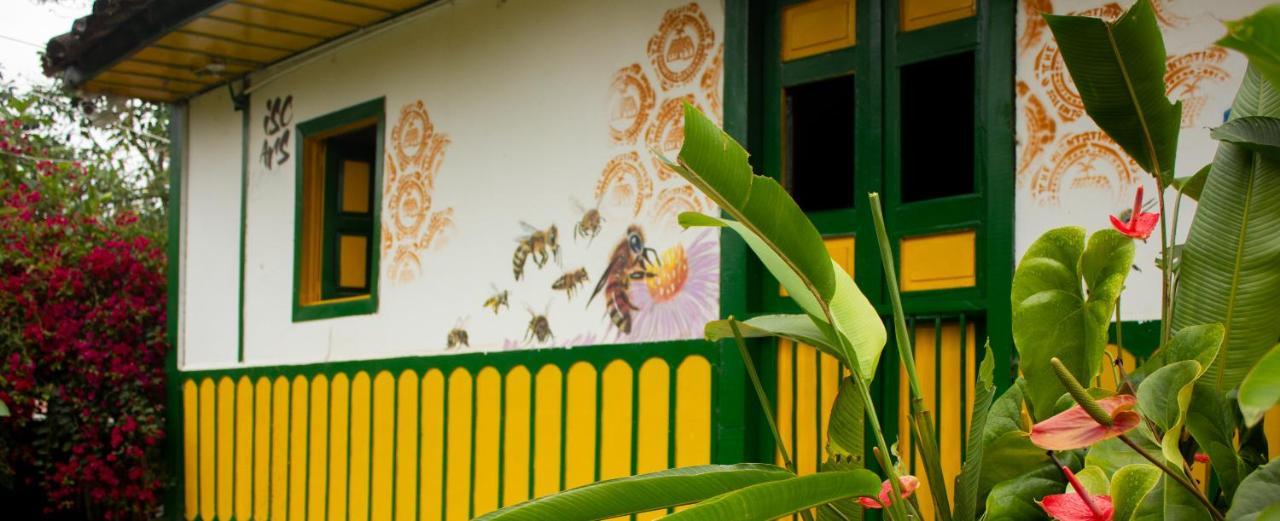 The Plantation House Travellers Hostel Σαλέντο Εξωτερικό φωτογραφία
