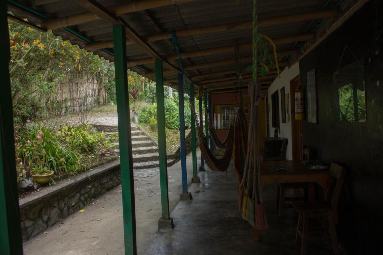The Plantation House Travellers Hostel Σαλέντο Εξωτερικό φωτογραφία