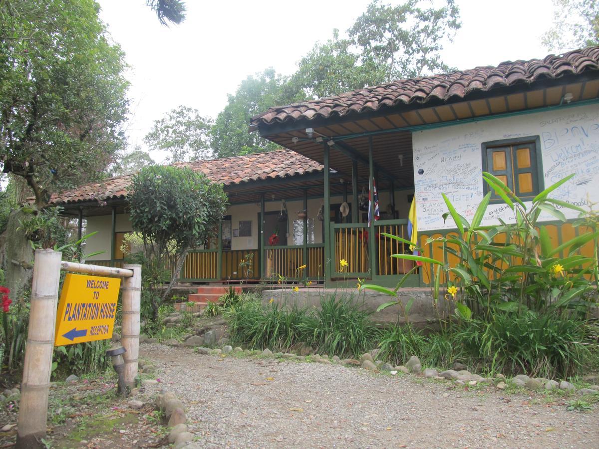 The Plantation House Travellers Hostel Σαλέντο Εξωτερικό φωτογραφία
