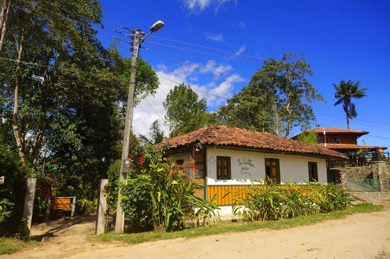 The Plantation House Travellers Hostel Σαλέντο Εξωτερικό φωτογραφία