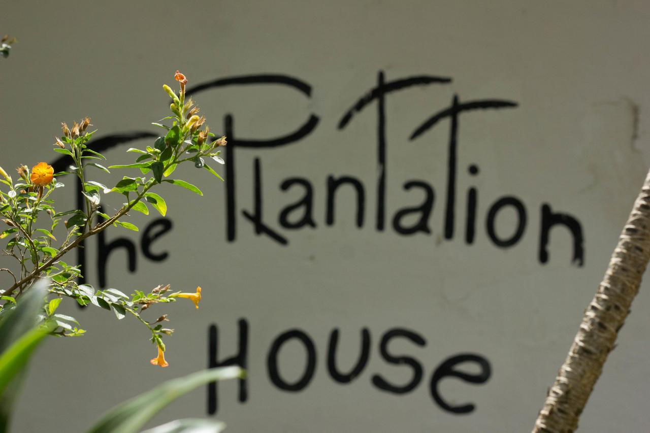 The Plantation House Travellers Hostel Σαλέντο Εξωτερικό φωτογραφία