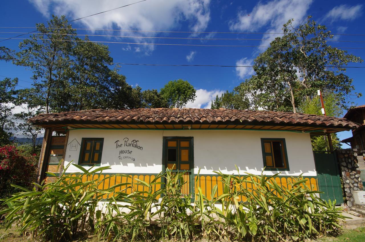 The Plantation House Travellers Hostel Σαλέντο Εξωτερικό φωτογραφία